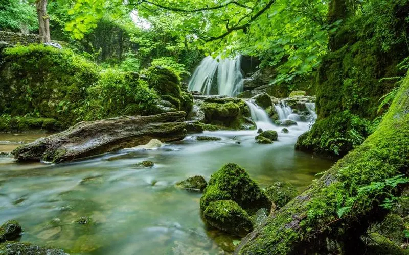 高效高性能